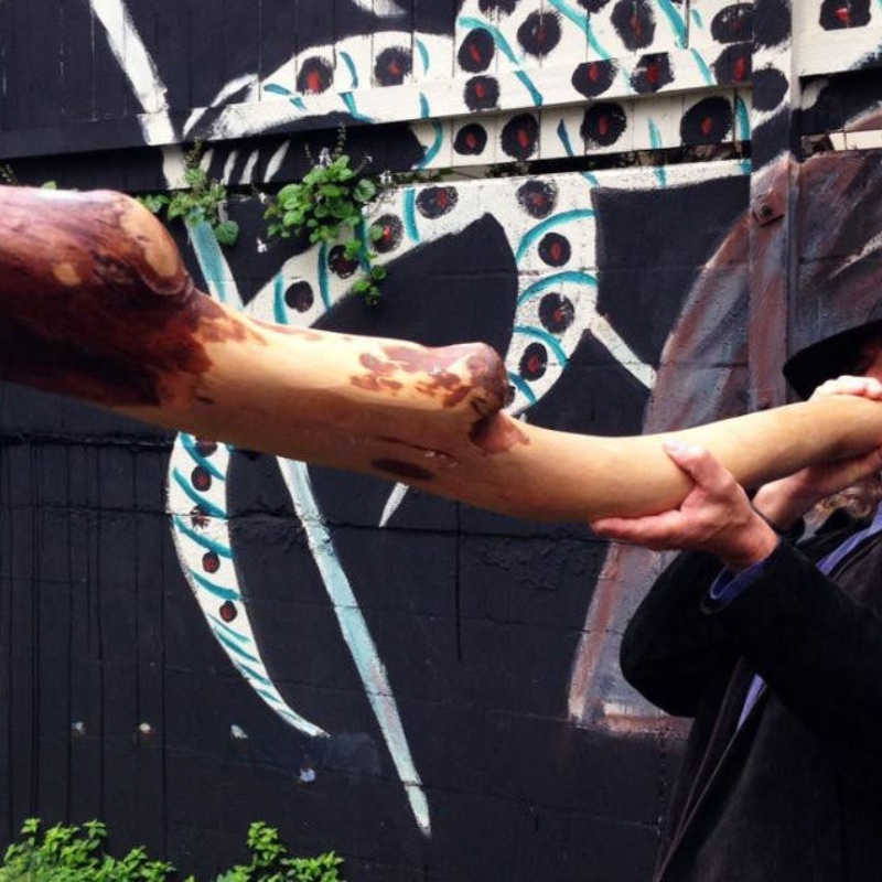 Musical Instrument Didgeridoo - Alat musik impor Australia, didgeridoo dalam