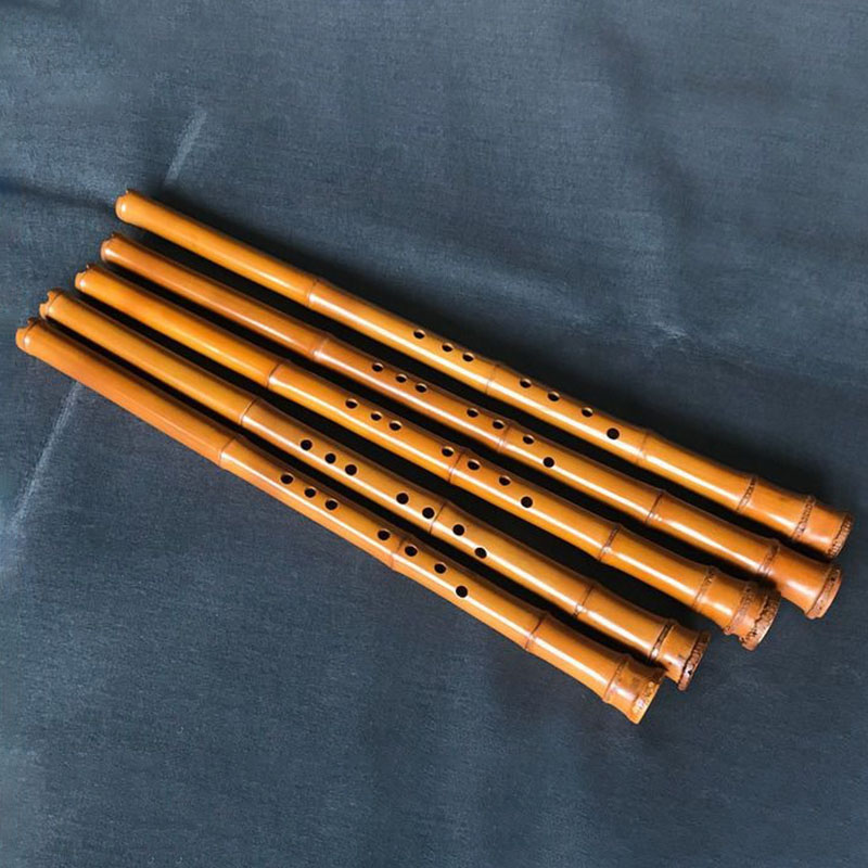 Seruling Bambu Xiao 8 Lubang,  - Musical Instrument I Play ulasan dan harga